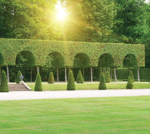 1967216880_Lodha_Opulis_Website_Images_Resize_SC_527_x_468_px-27